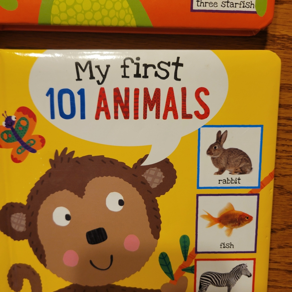 Board Book Set: Colors, Words, Animals & Numbers - Picture 4 of 7